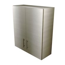 HYBRID Double Door Wall Cabinet